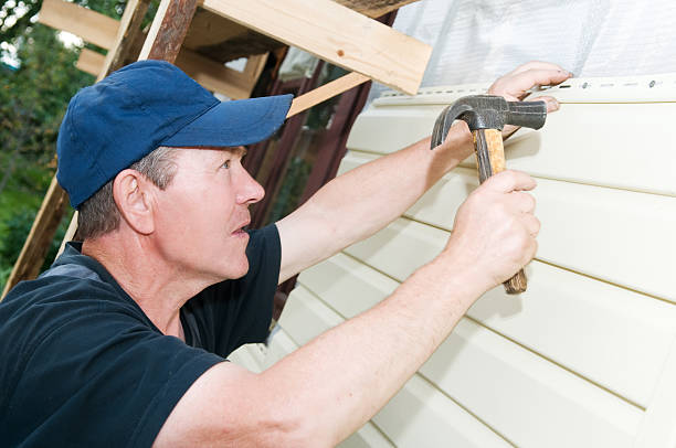 Best Vinyl Siding Installation  in Greeley, CO